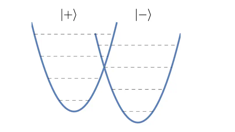 Hidden Symmetry and Tunneling Dynamics in Asymmetric Quantum Rabi Models