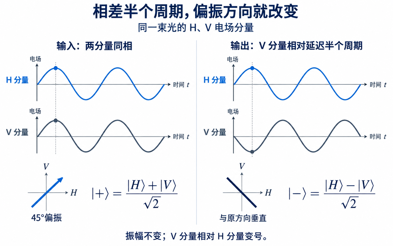 左右对照的电场时间波形:左侧H和V分量同时达到波峰,合成45度线偏振,对应加态;右侧H达到波峰时V达到波谷,振幅不变,合成与原方向垂直的线偏振,对应减态。